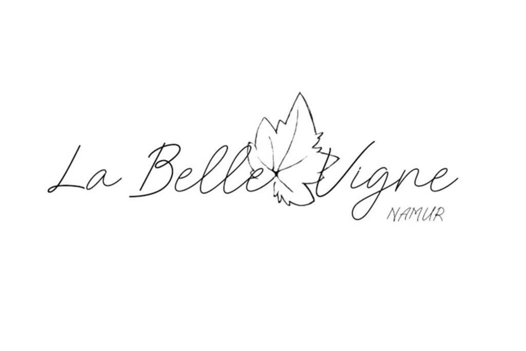 La Belle Vigne Apartment Namur Ngoại thất bức ảnh